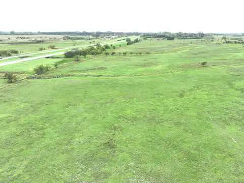 Campo ganadero sobre Ruta 9 Km. 108