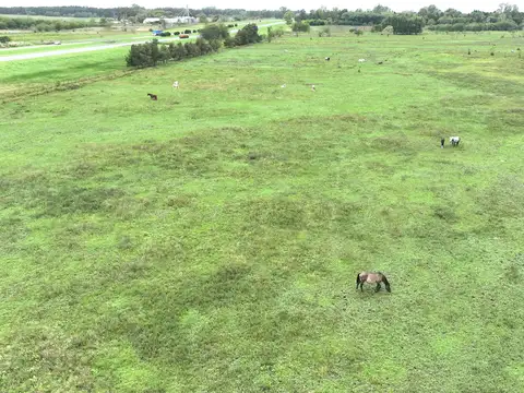 Campo en venta sobre Ruta 9 Zárate