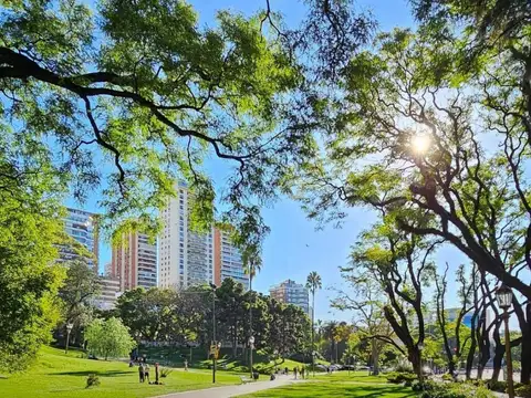 DEPARTAMENTO MONOAMBIENTE CAÑITAS