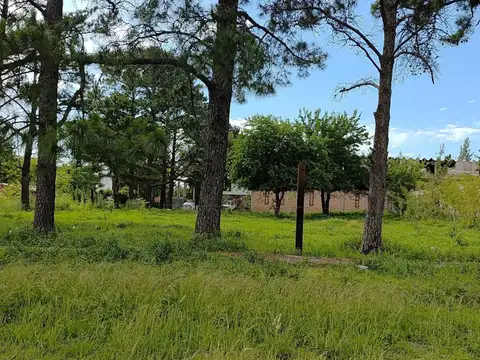 TERRENO 20X30mts a METROS Av 519 - MELCHOR ROMERO