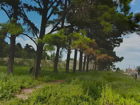 Terreno en Venta de 600,0 m2