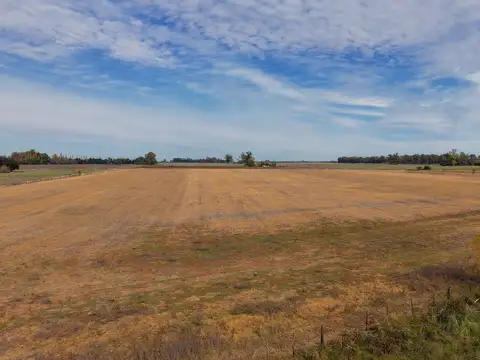 Campo en Venta de 12  ha