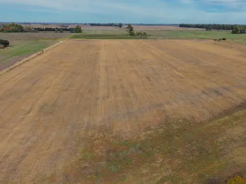 Campo en Venta Agrícola