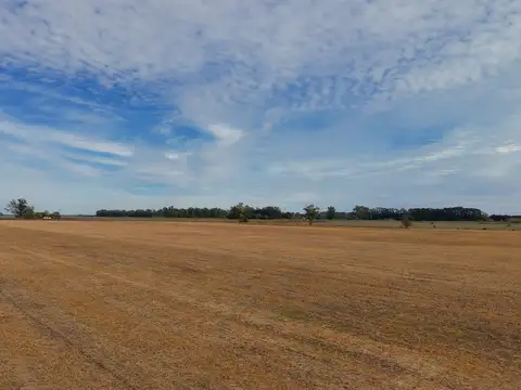 Campo en Venta de 12  ha