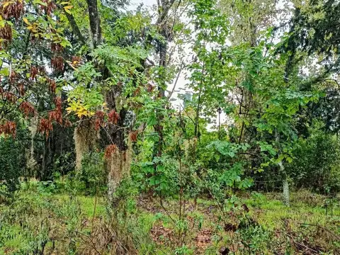 Terreno en Venta de 1016,0 m2
