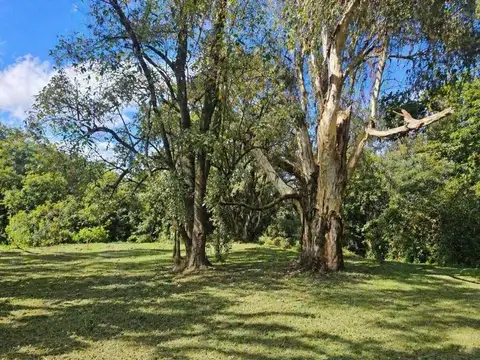Terreno en Venta de 1016,0 m2