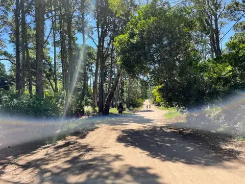 Terreno en Venta de 325,0 m2