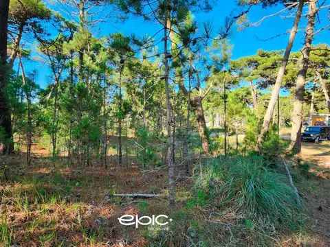 Lote en Venta Pinamar Boulevard Alamos