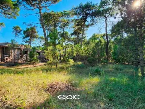 Terreno en Venta de 1232,0 m2