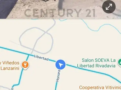VENTA DE FINCA EN DISTRITO LA LIBERTAD- RIVADAVIA, MENDOZA. ID: 349793