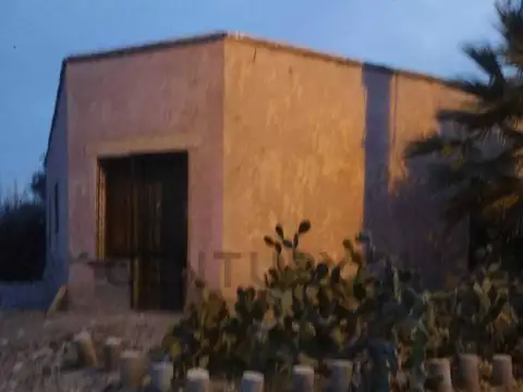 VENTA DE FINCA EN DISTRITO LA LIBERTAD- RIVADAVIA, MENDOZA. ID: 349793