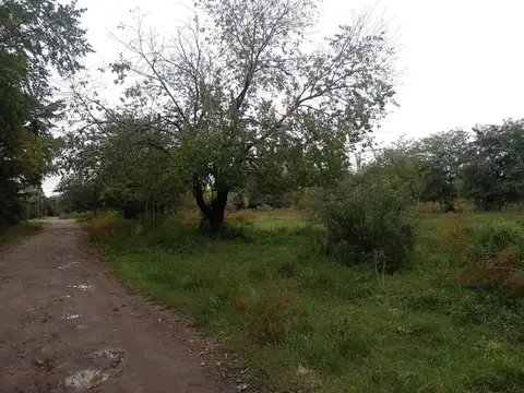 Terreno en Venta de 2343,0 m2