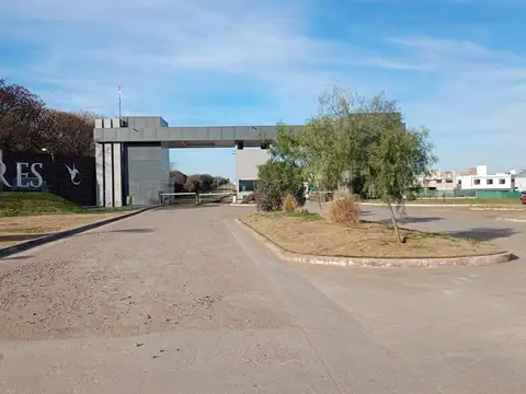 Aires Del Nordeste 100