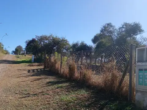 Aires Del Nordeste 100
