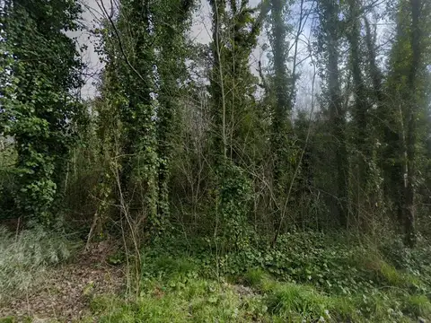 Terreno en venta - 1.596Mts2 - Mar de Cobo