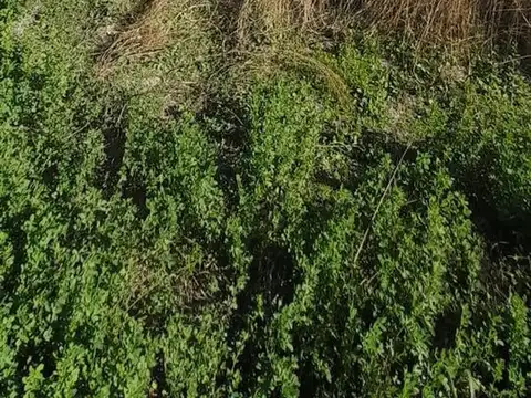 Terreno en Venta en Tulumaya, USD 13.000