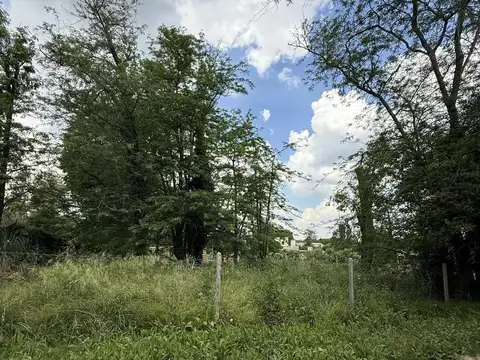 Terreno en Venta de 800,0 m2