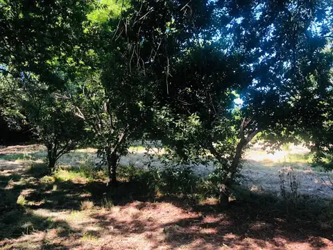 Terreno en Alquiler de 1300,0 m2