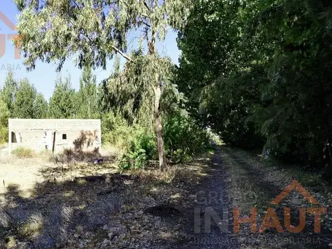 China Muerta, Plottier