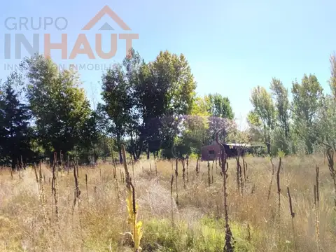 China Muerta, Plottier