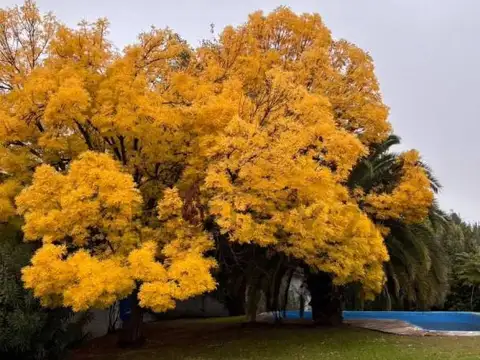 RIO BLANCO 4500, Piso 0