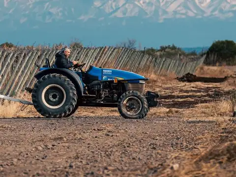 VENDE HILERAS DE VIÑA