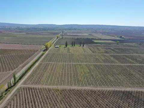 Terreno en Venta de 1000000,0 m2