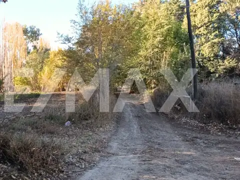 VENTA CHACRA 5 HECTAREAS-FRENTE RUTA 7 CENTENARIO