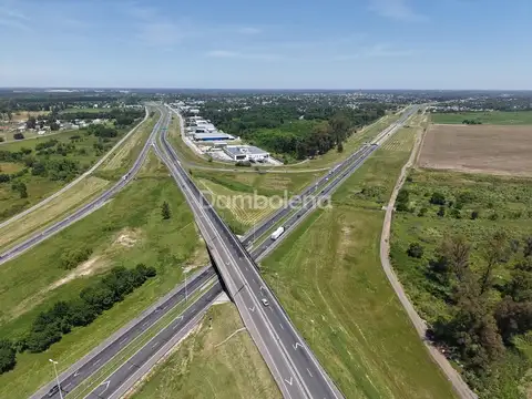 Local en Alquiler A Estrenar