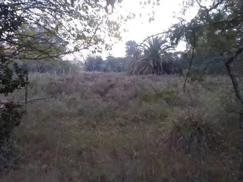 Terreno en Venta de 1100,0 m2