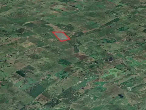 Campo de 97 ha en General Alvear – Apto agrícola ganadero - Venta