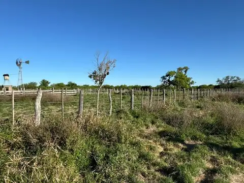 Campo en Venta Ganadero