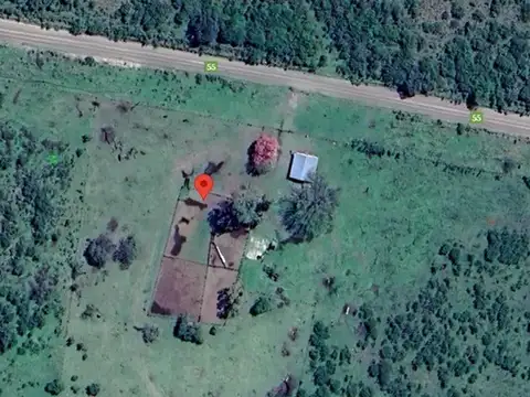 Campo Mixto 600 hectareas Sauce Corrientes