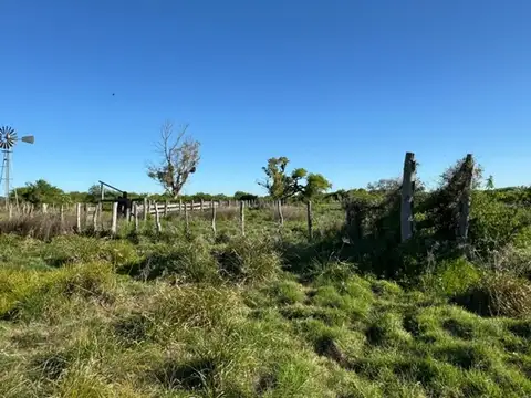 Campo en Venta Ganadero