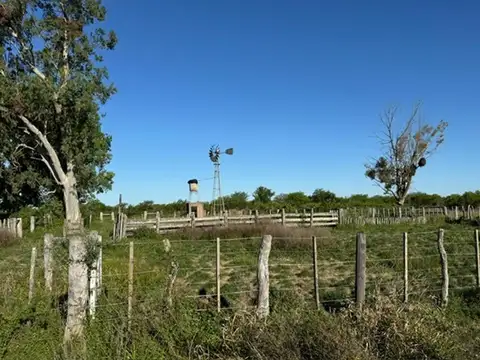 Campo Mixto 600 hectareas Sauce Corrientes