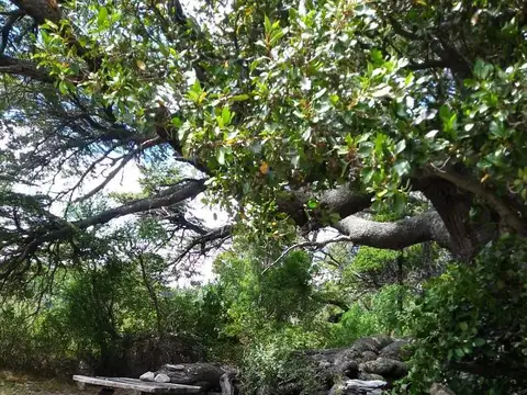 Única fracción  superficie 53.000m2, 7 casas  Costa Lago Moreno, Circuito Chico, Bariloche