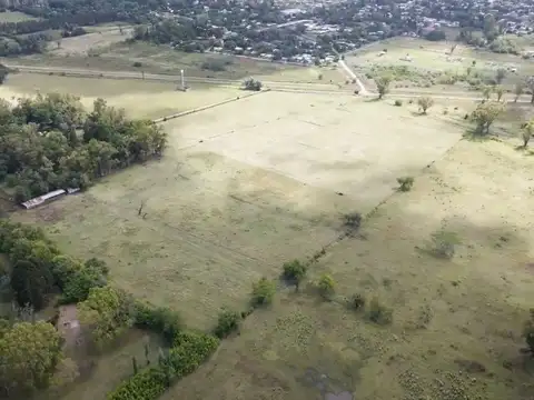 Hipolito Yrigoyen y sabatier 100