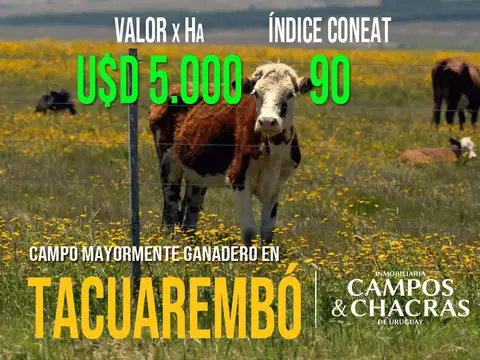 Campo en venta en Tacuarembó de 650 hectáreas apróx.
