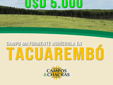 Campo en venta en Tacuarembó de 670 hectáreas.