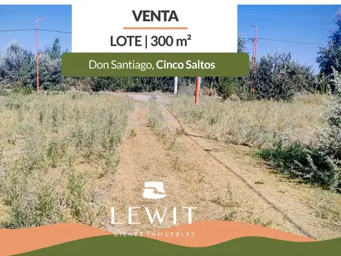 Venta terreno | Lote 300 m² | Loteo Don Santiago | Cinco Saltos