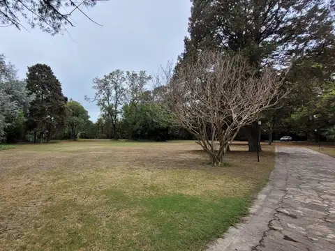 Quinta - Alquiler - Argentina, Hurlingham