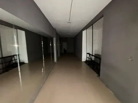 Pedernera 100