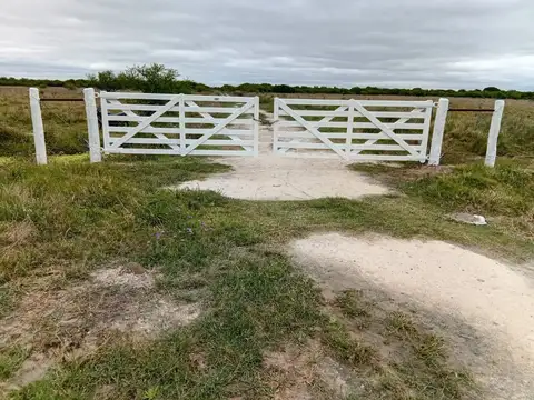 CAMPO GANADERO - ALEJANDRA, DPTO. SAN JAVIER