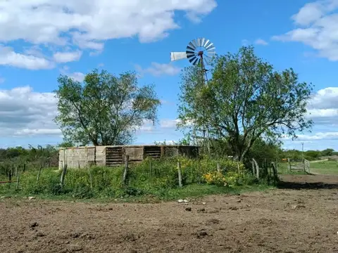 CAMPO GANADERO - ALEJANDRA, DPTO. SAN JAVIER