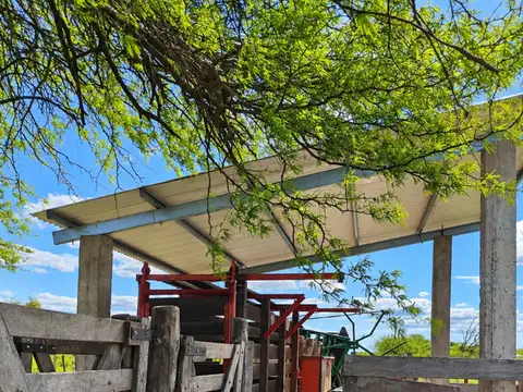 CAMPO GANADERO - ALEJANDRA, DPTO. SAN JAVIER