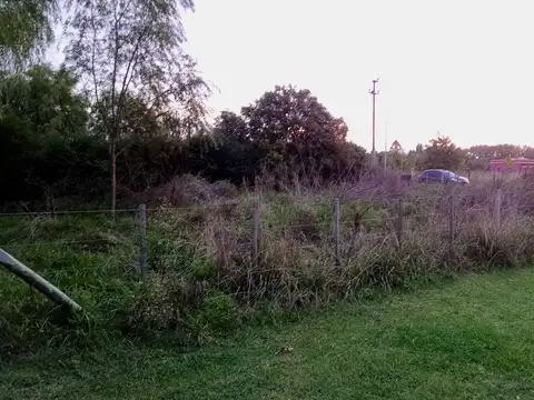 Doctor Ricardo Levene 3300