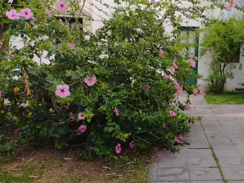 Depto Tipo Casa en Venta en Villa Elvira, USD 52.000