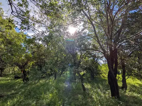 Terreno en Venta en Villa De Las Rosas, USD 25.000