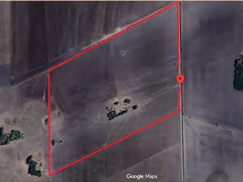 Campo Mixto 40 hectareas San Salvador Entre Rios