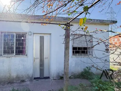 Malvavisco 6556, 100